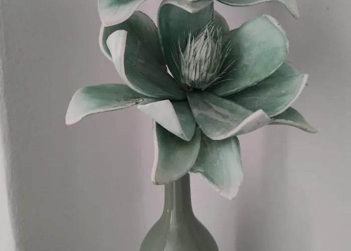 Casa Olivina Costa Teguise